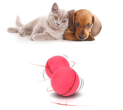 Funny LED Laser Rolling Ball Pet Toy - Companion Care