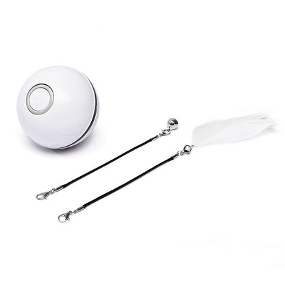 Funny LED Laser Rolling Ball Pet Toy - Companion Care