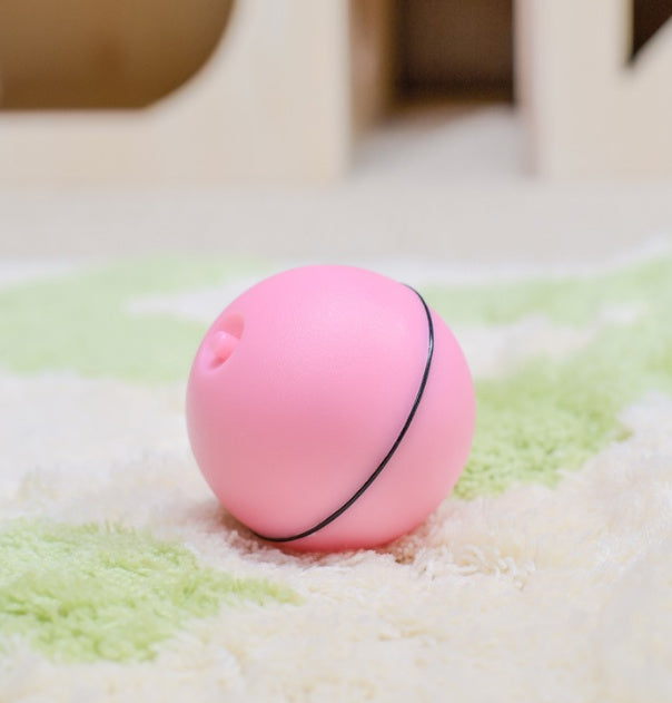 Funny LED Laser Rolling Ball Pet Toy - Companion Care