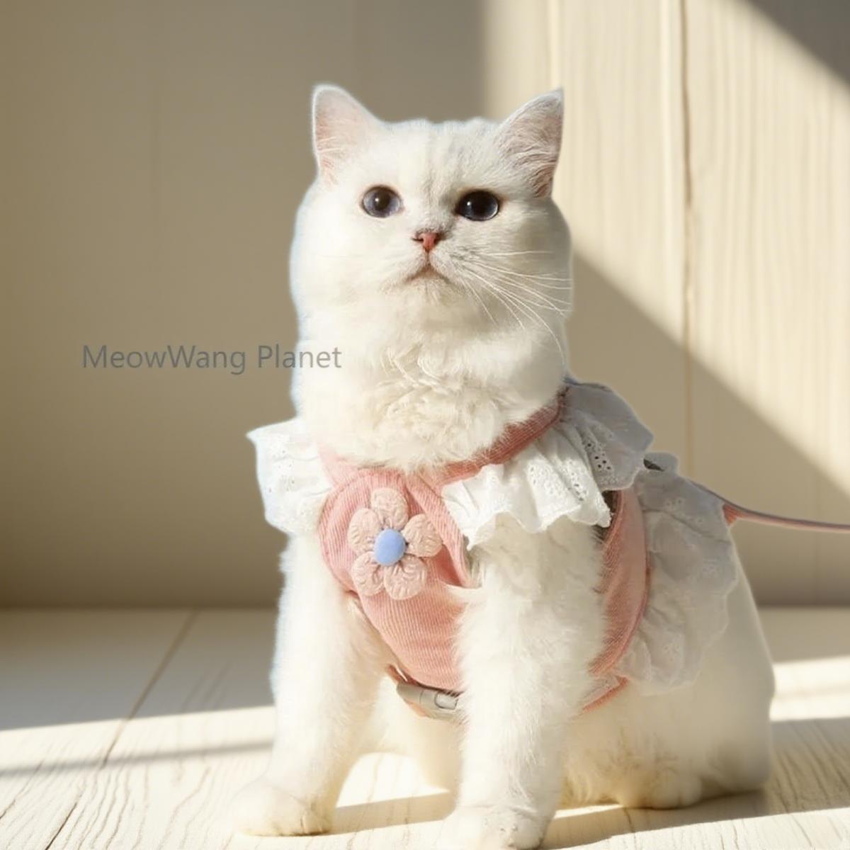 Breathable Premium Summer Pet Dog Leash - Companion Care