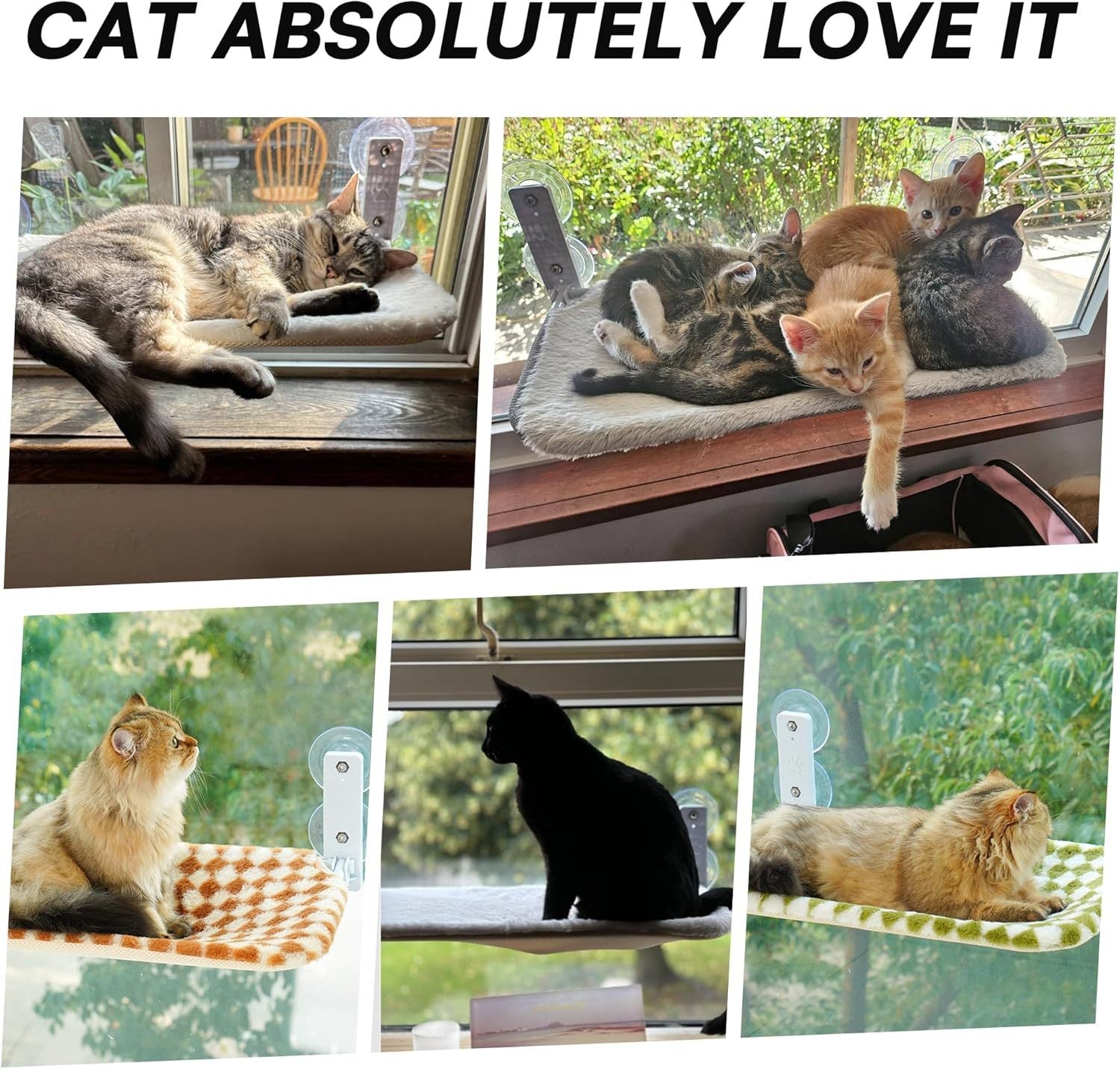 Cat Window Hanging Hammock - Companion Care