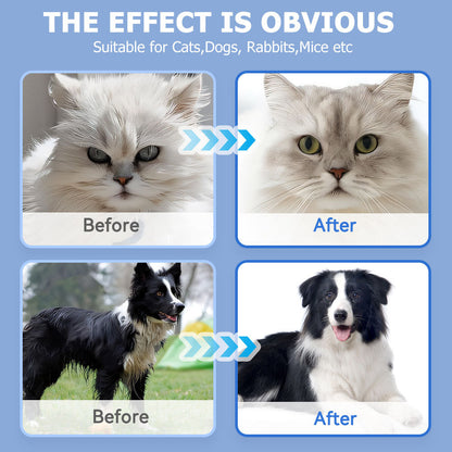 Pet Bathing Wipes Gloves For Body - Companion Care