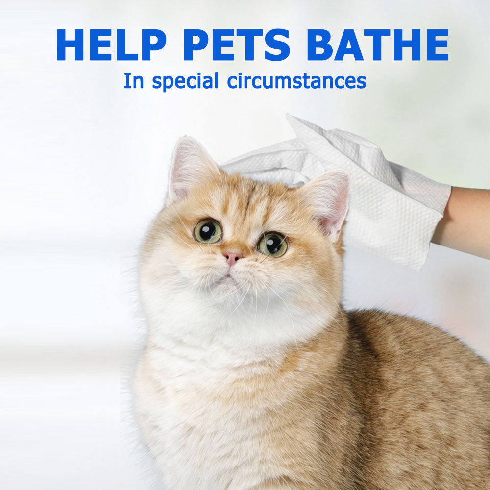 Pet Bathing Wipes Gloves For Body - Companion Care