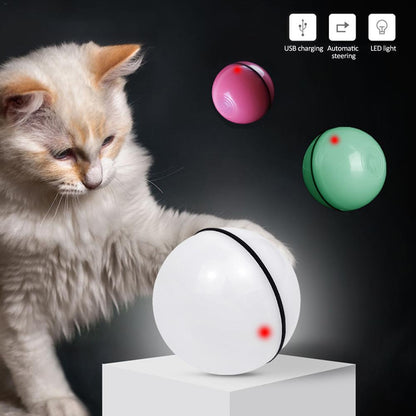 Funny LED Laser Rolling Ball Pet Toy - Companion Care